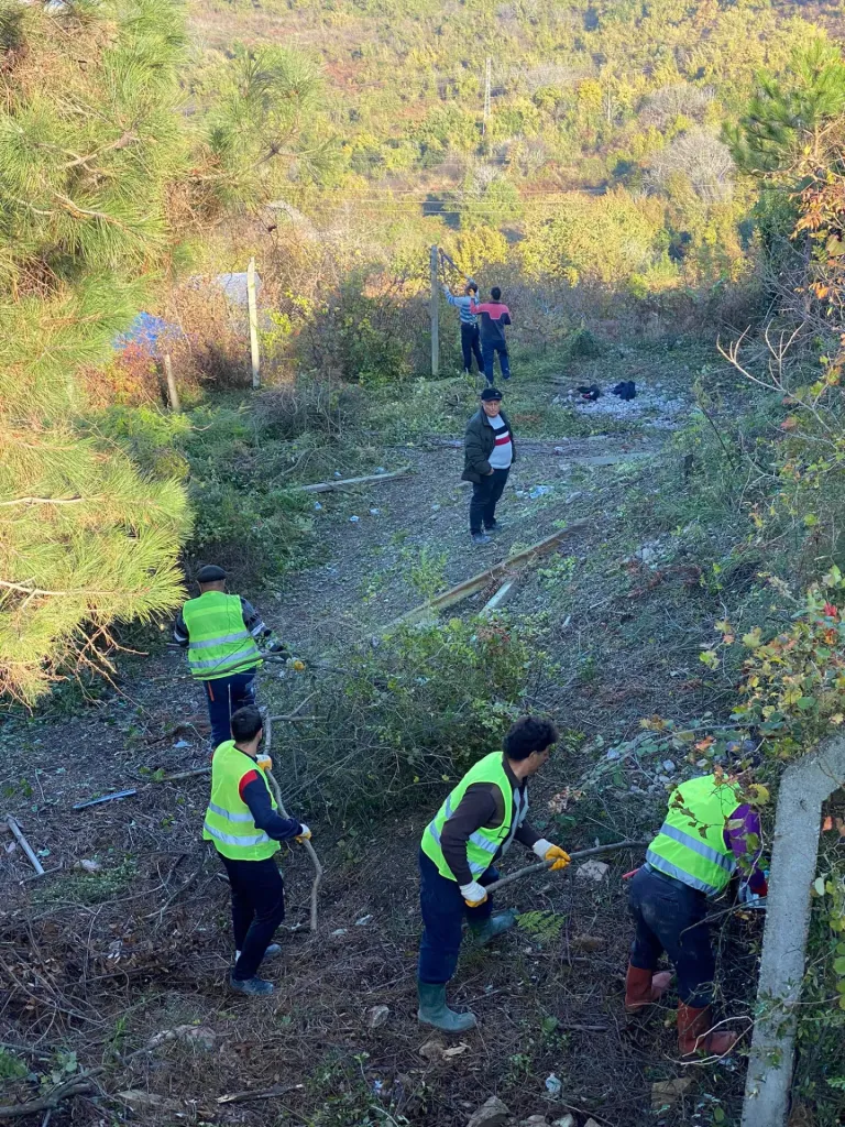 Bartın Çevre Düzenleme Peyzaj ve Havuz İşleri uygulaması – 34