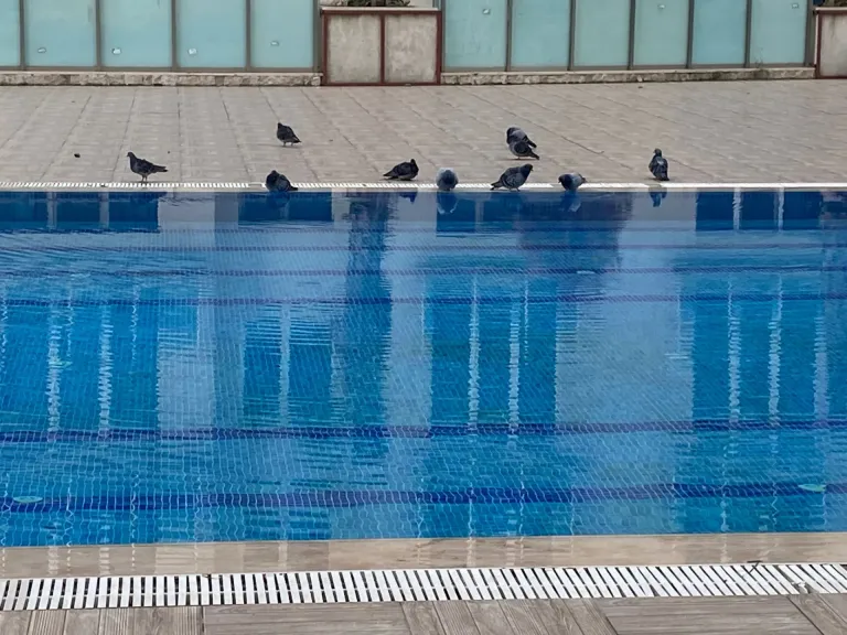 Bartın Çevre Düzenleme Peyzaj ve Havuz İşleri uygulaması – 50